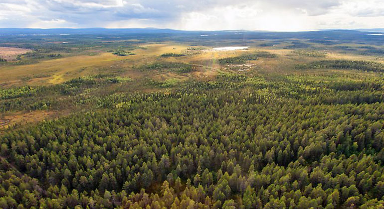 Vy över våtmarker och skogar i reservatet.