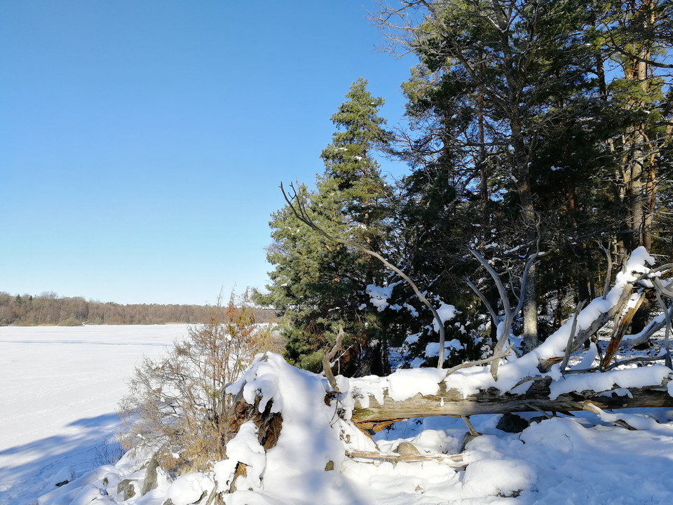 Västra vilda strandlinjen