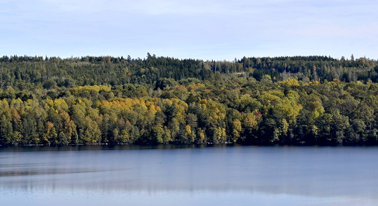Sommenäs, Naturreservat