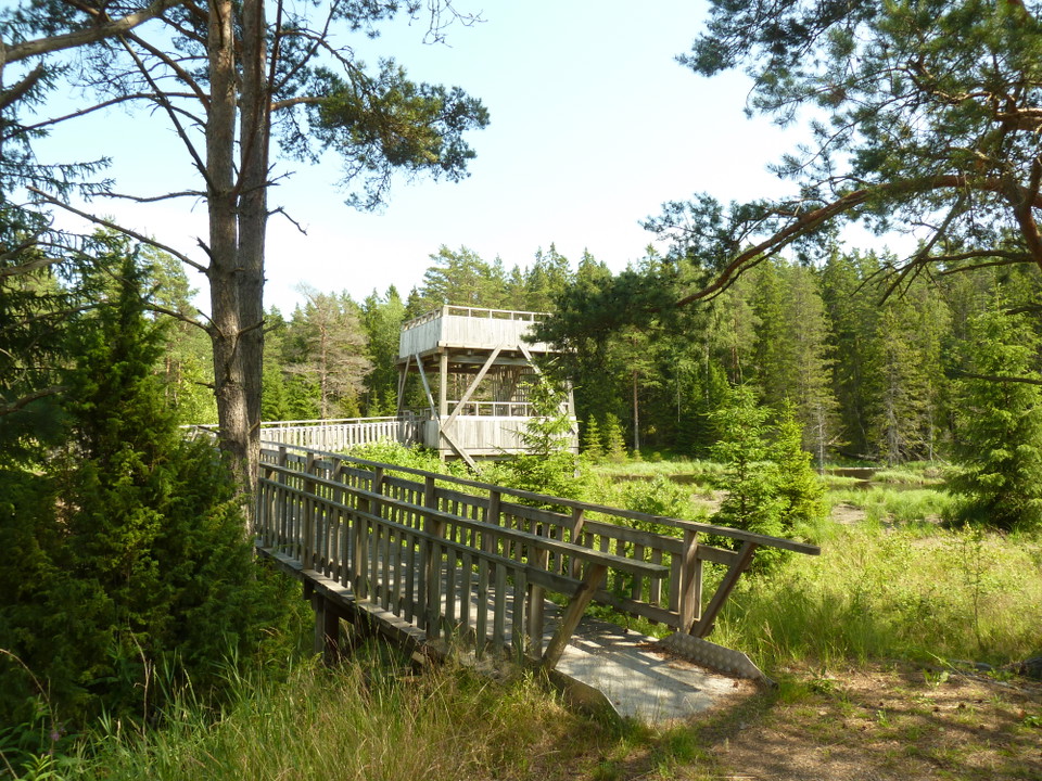 Ramp till fågeltornet.