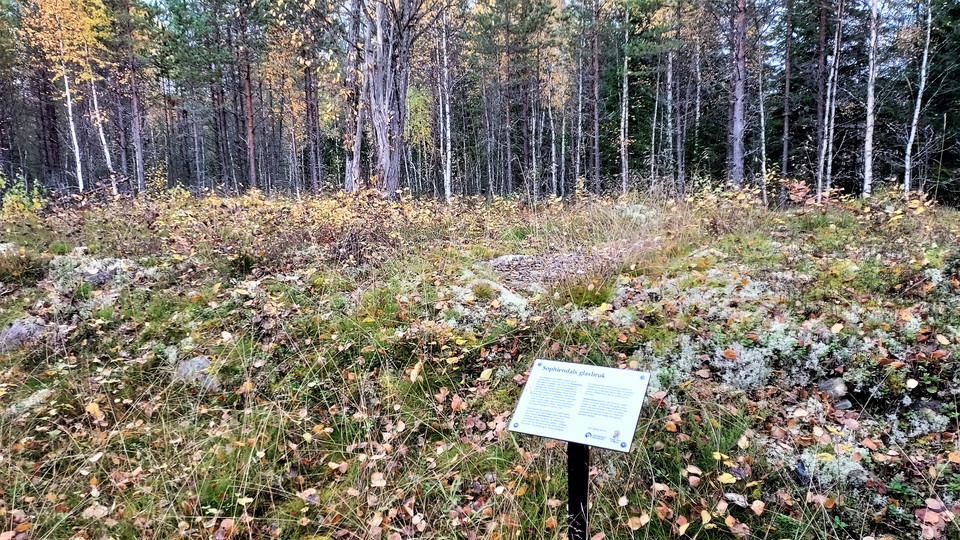 Sophiendals Glasbruk