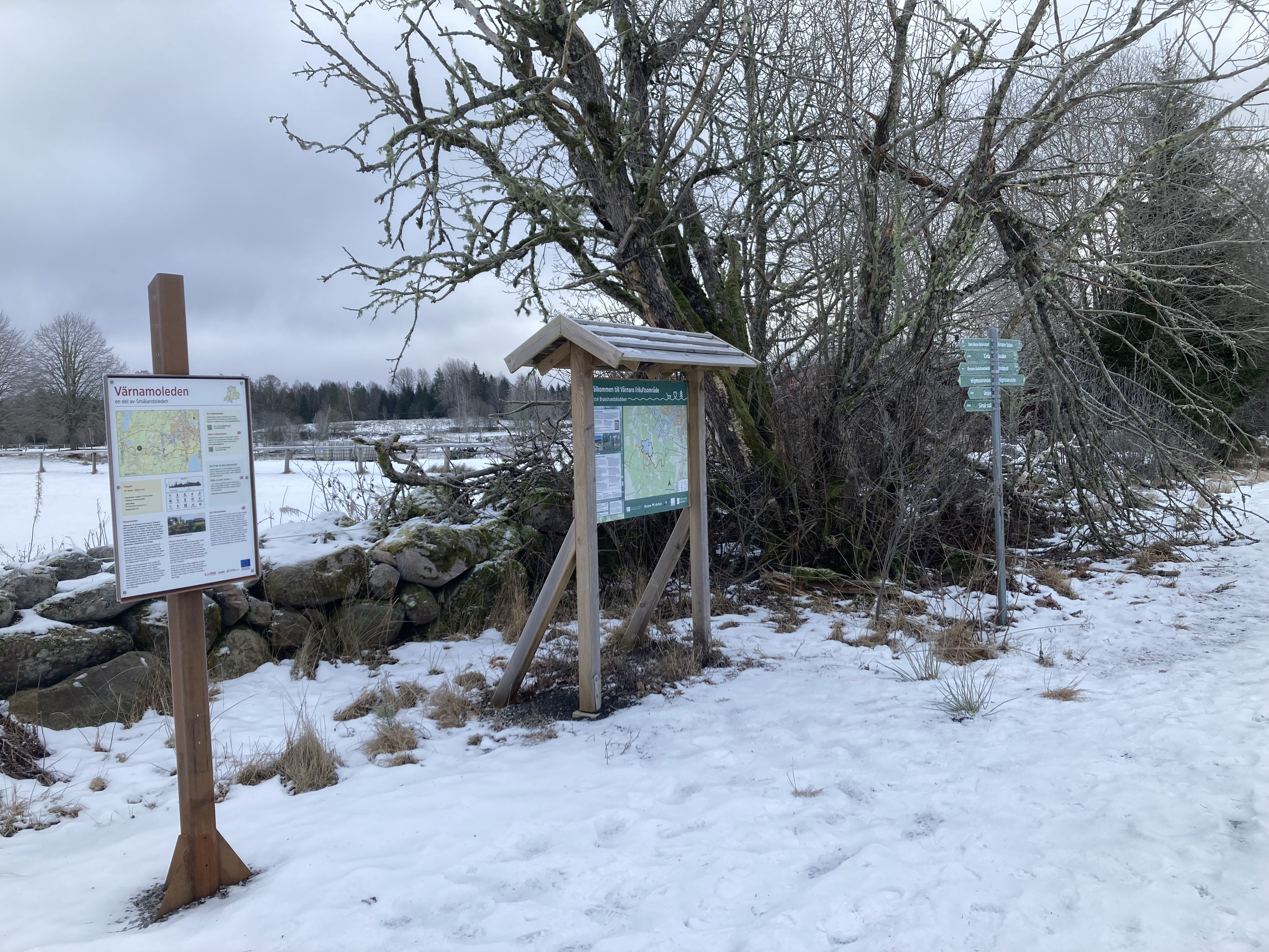Brukshundsklubben, ledentré V1