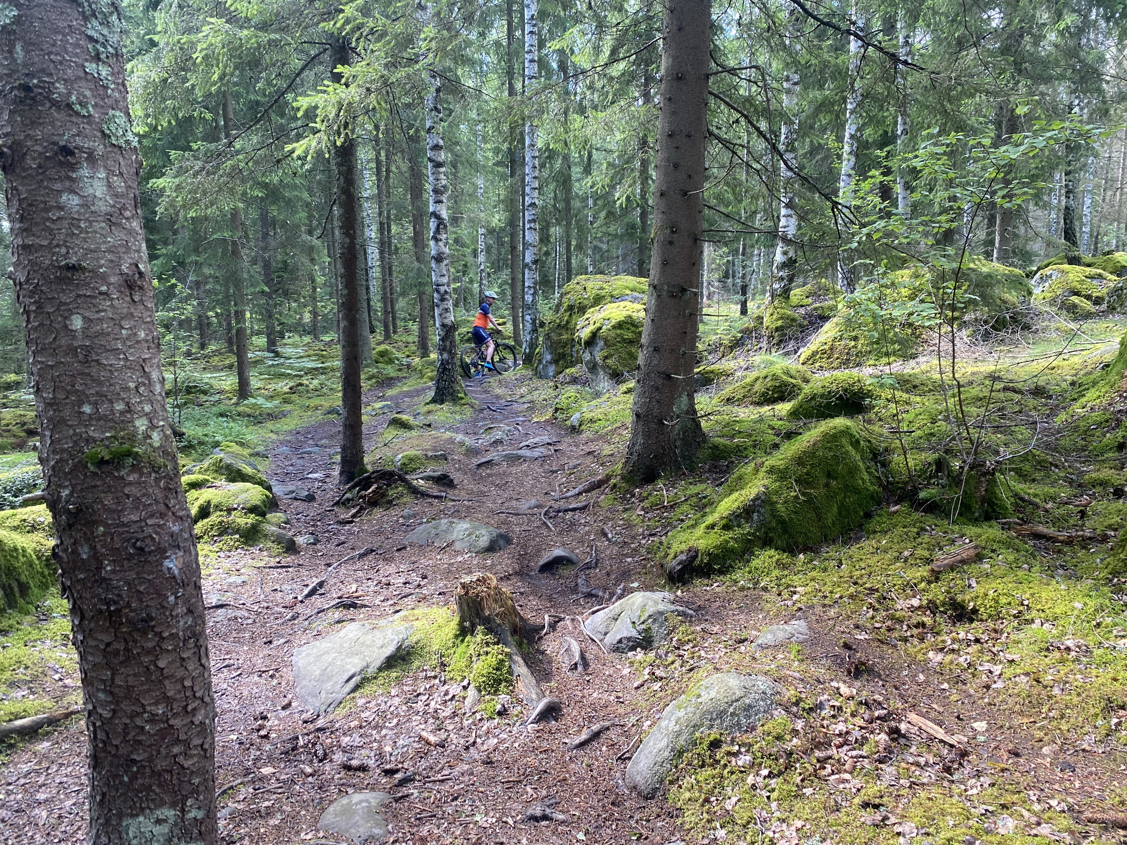 Den övervägande delen av Lista-spåret följer naturliga skogsstigar.