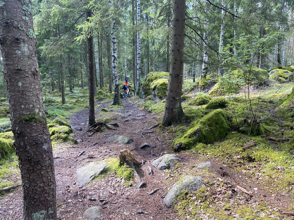 Den övervägande delen av Lista-spåret följer naturliga skogsstigar.