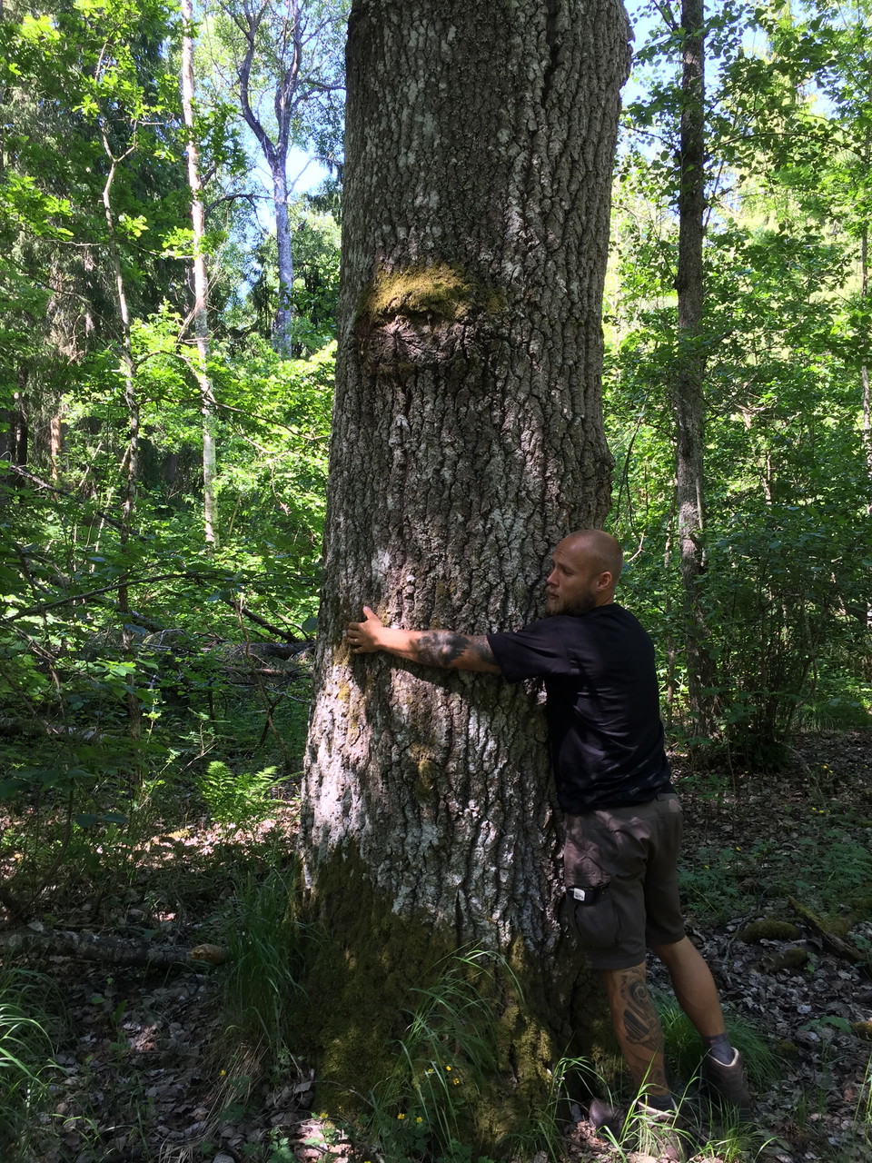 Här finns ovanligt många grova aspar.