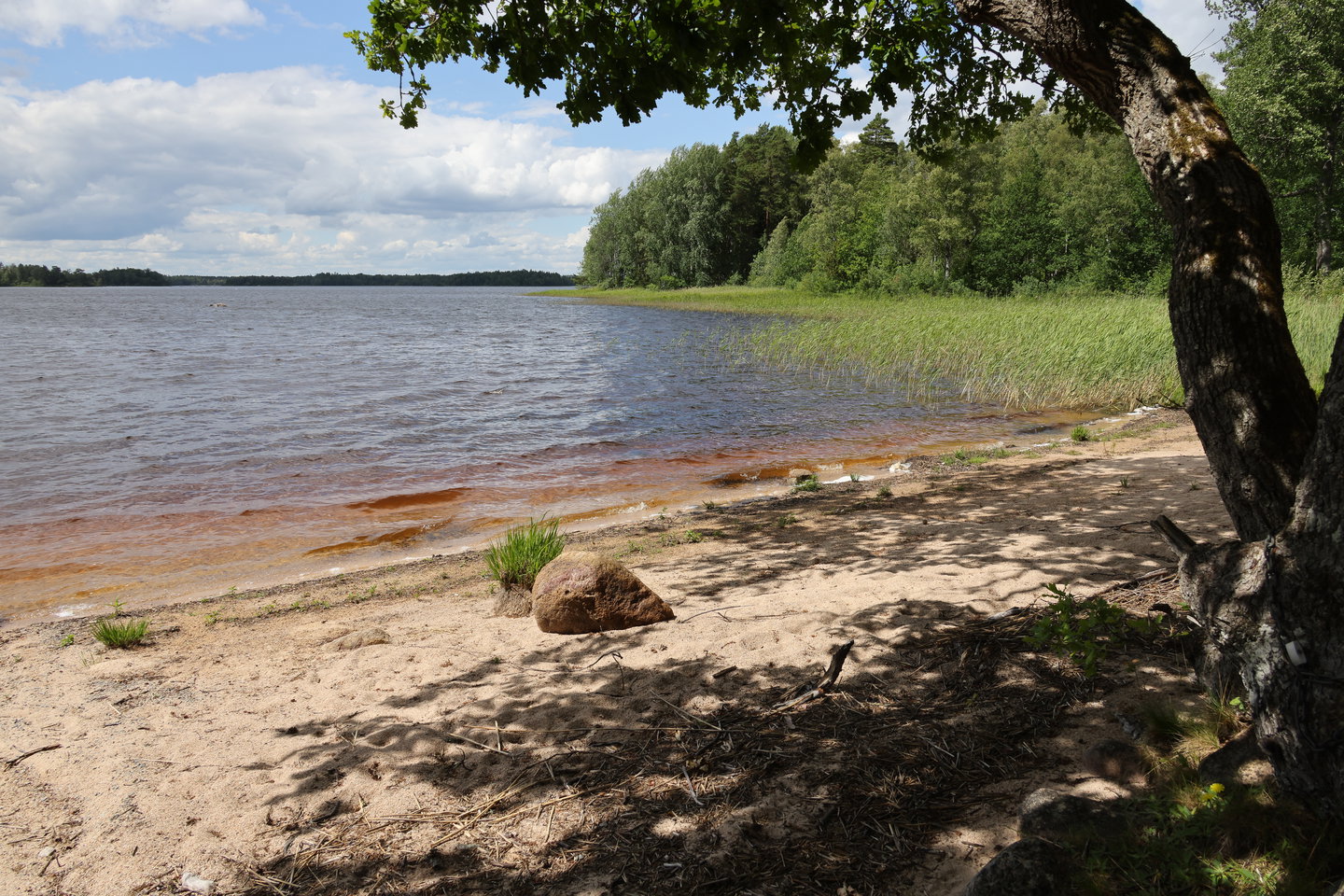 Foto: Niklas Kämpargård