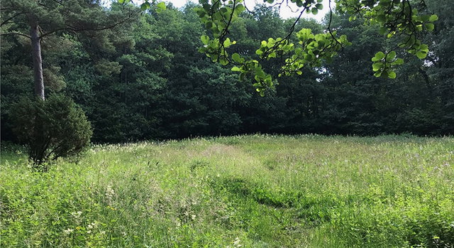 Slottet, Naturreservat