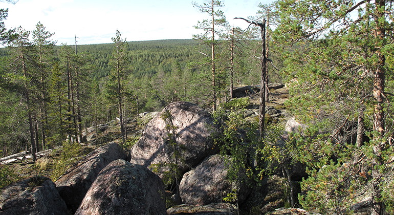 Tällberget.