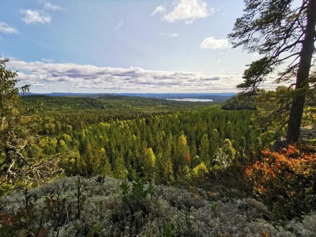 Vålbergsrundan