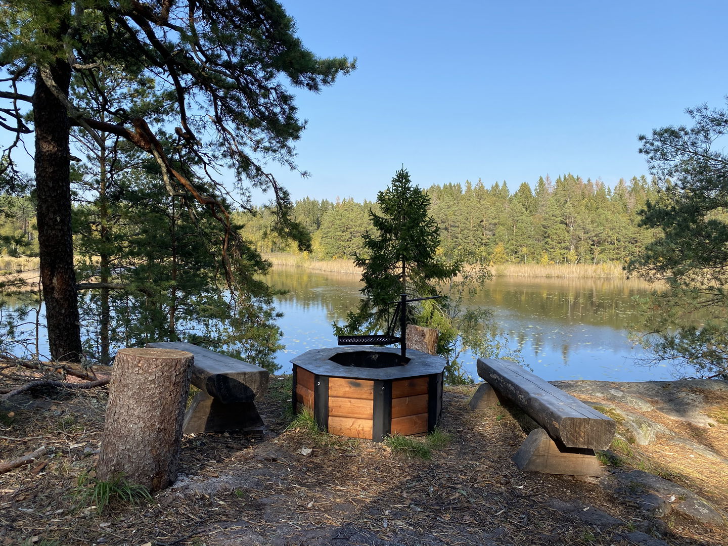 Stor-Tickuln