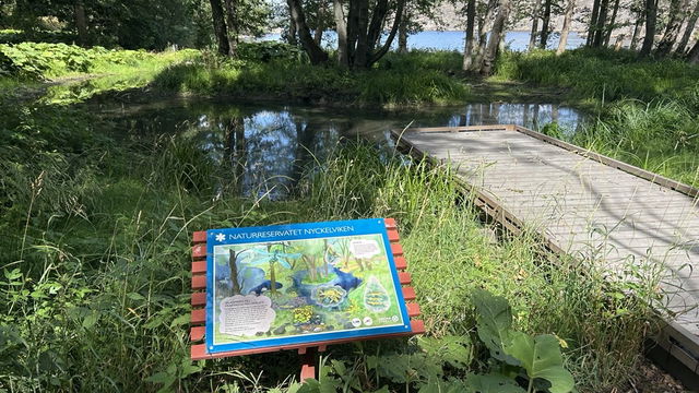 Vrakvikens Gäddfabrik