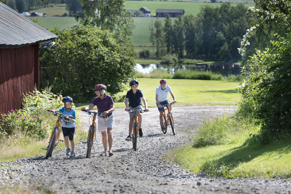 Familj som cyklar på en grusväg