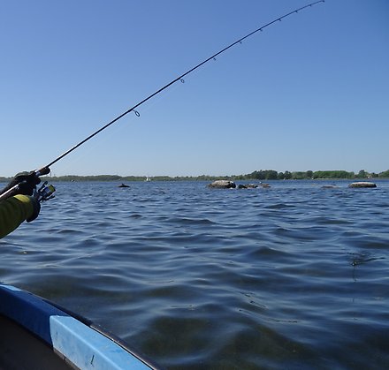 Fiske från båt i Valjeviken.