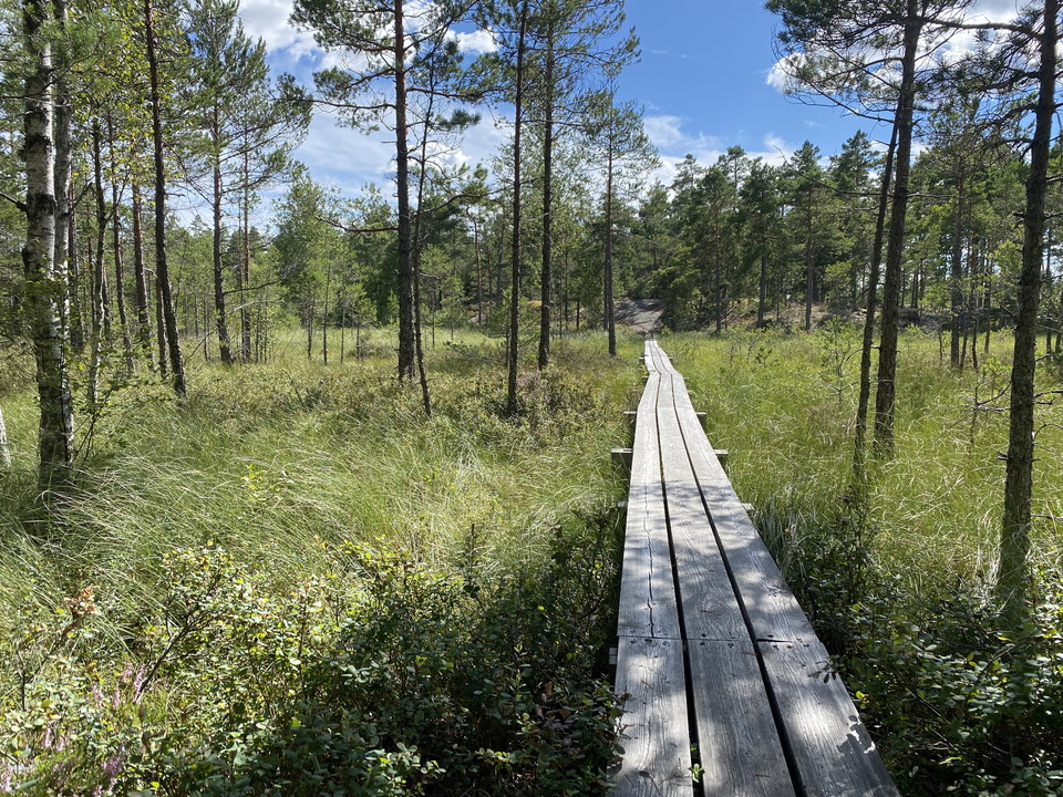 Spänger över blöta partier