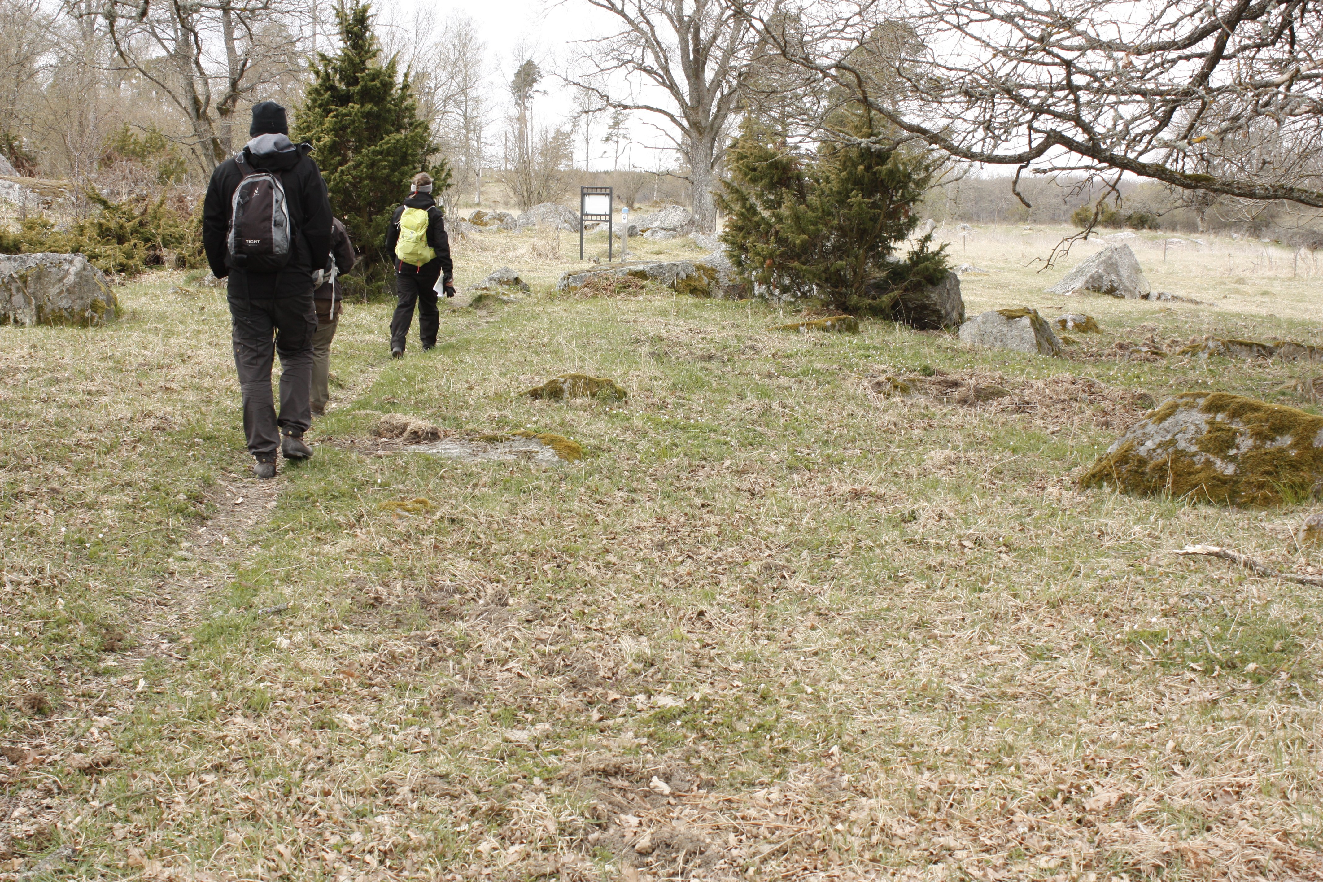 Tre personer vandrar på en smal stig genom öppen gräsmark. I bakgrunden finns buskar, träd och en informationstavla.
