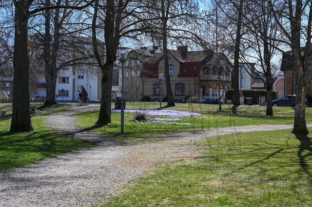 Björkparken