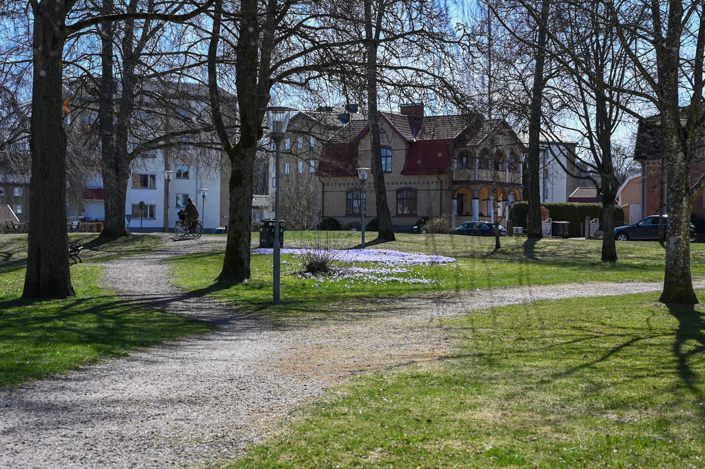 Gångstigar i parken
