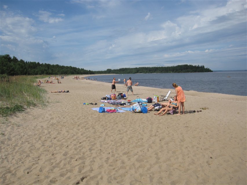 Många människor är på en sandig badplats vid havet. Stranden kantas av vass. 
