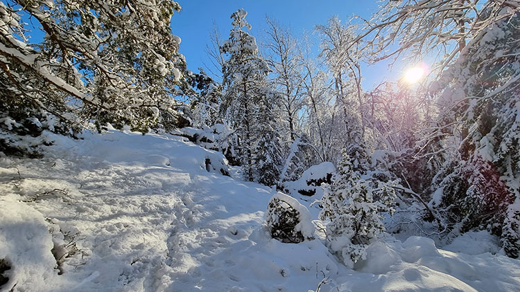 Året i Gröna Kilar - Upptäck naturens magi med barnen