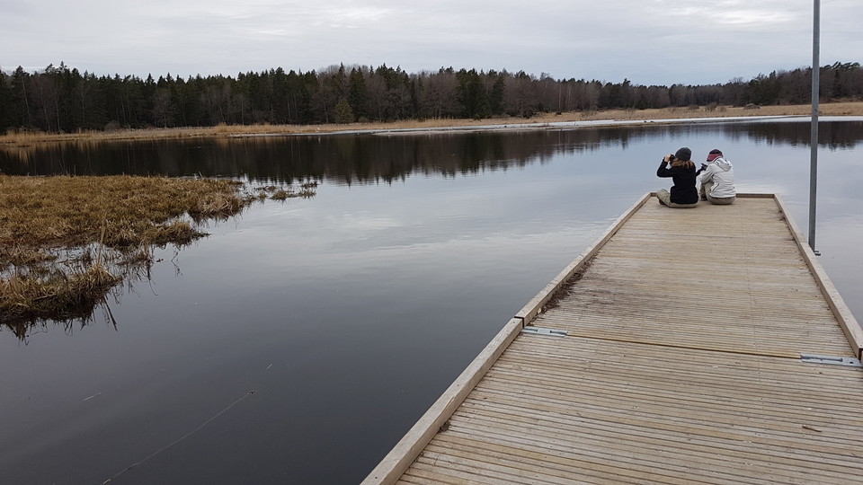 Ett par sitter längst ut på en brygga och skådar med kikare.