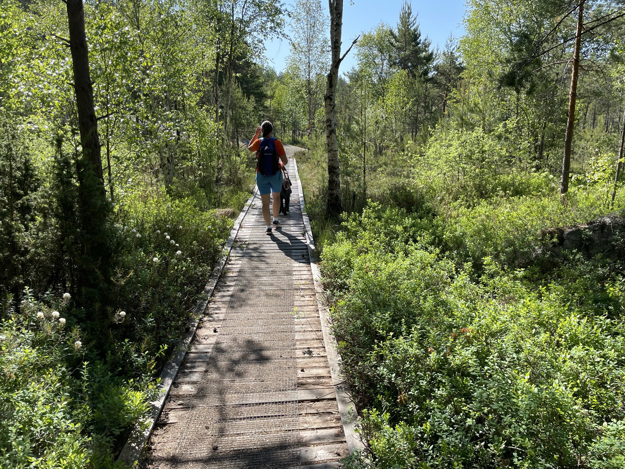 Sörsjön - Glotternskogen, Östgötaleden