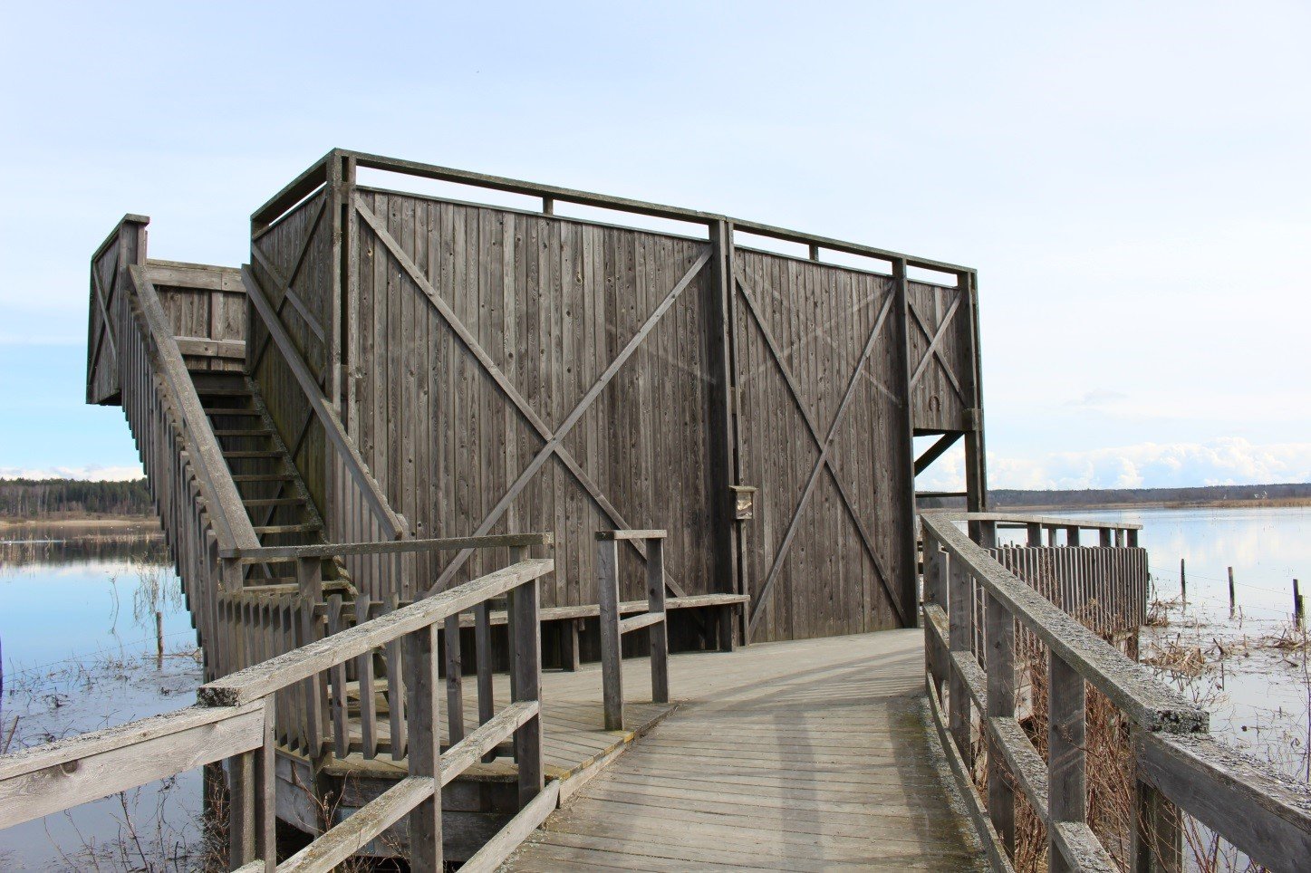 En bred träspång med handräcken leder fram till en plattform med ett fågeltorn. En hög trappa med handräcken går upp till fågeltornet.