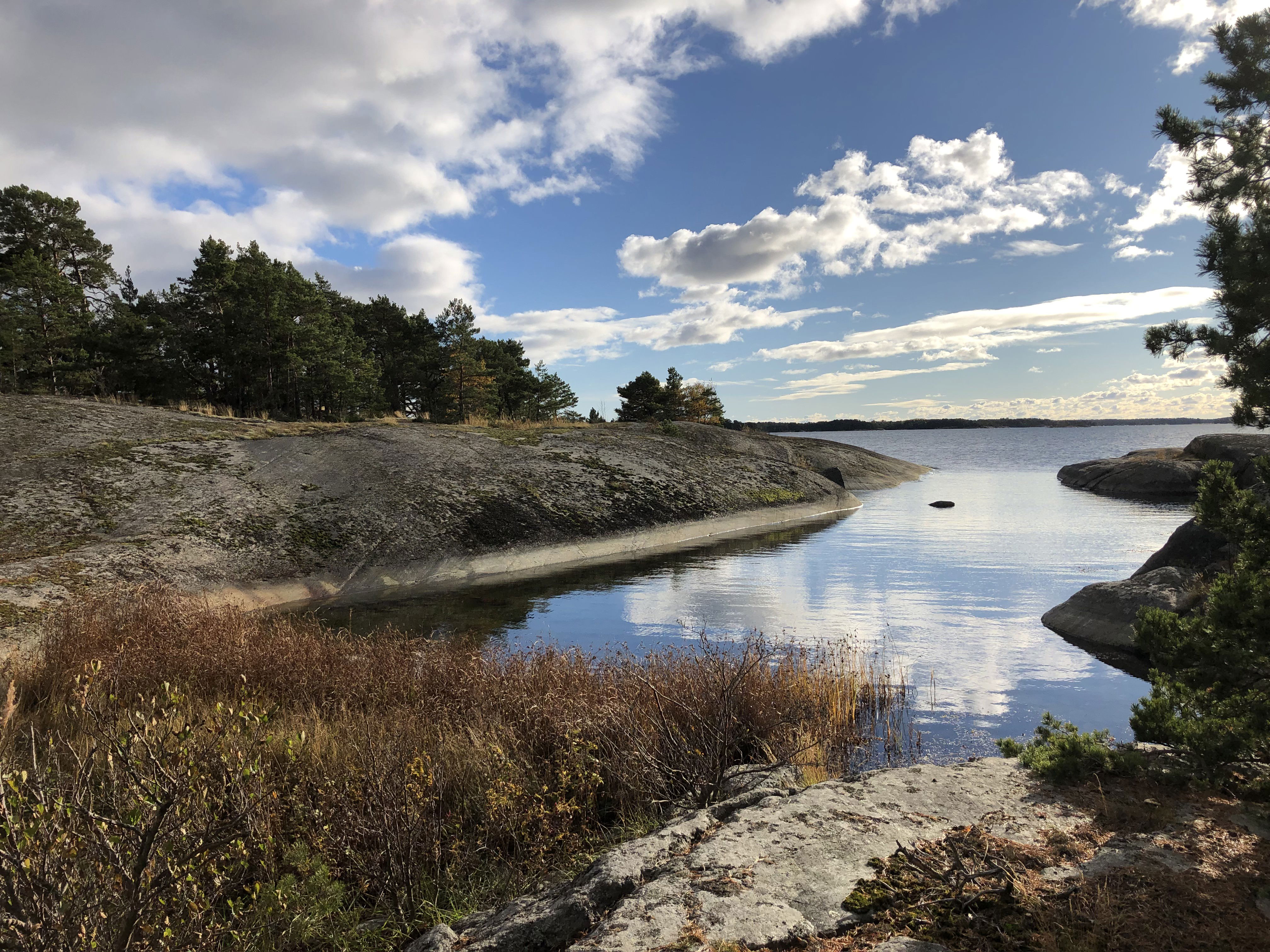Gymmerholmens naturreservat