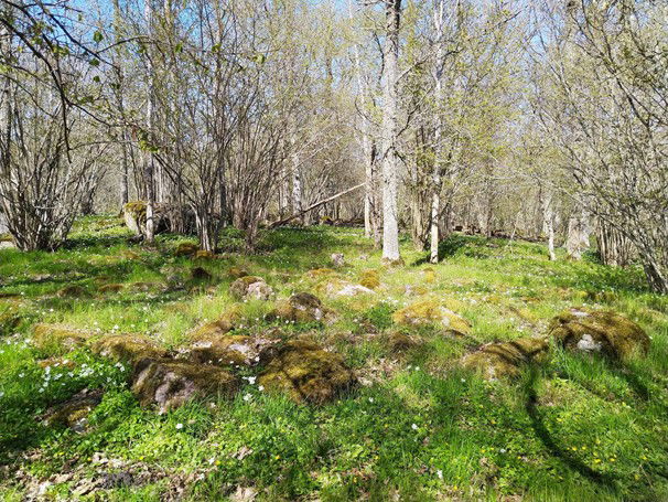 Vattenåkarbacken, Tinnerö Eklandskap