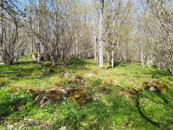 Vattenåkarbacken, Tinnerö Eklandskap