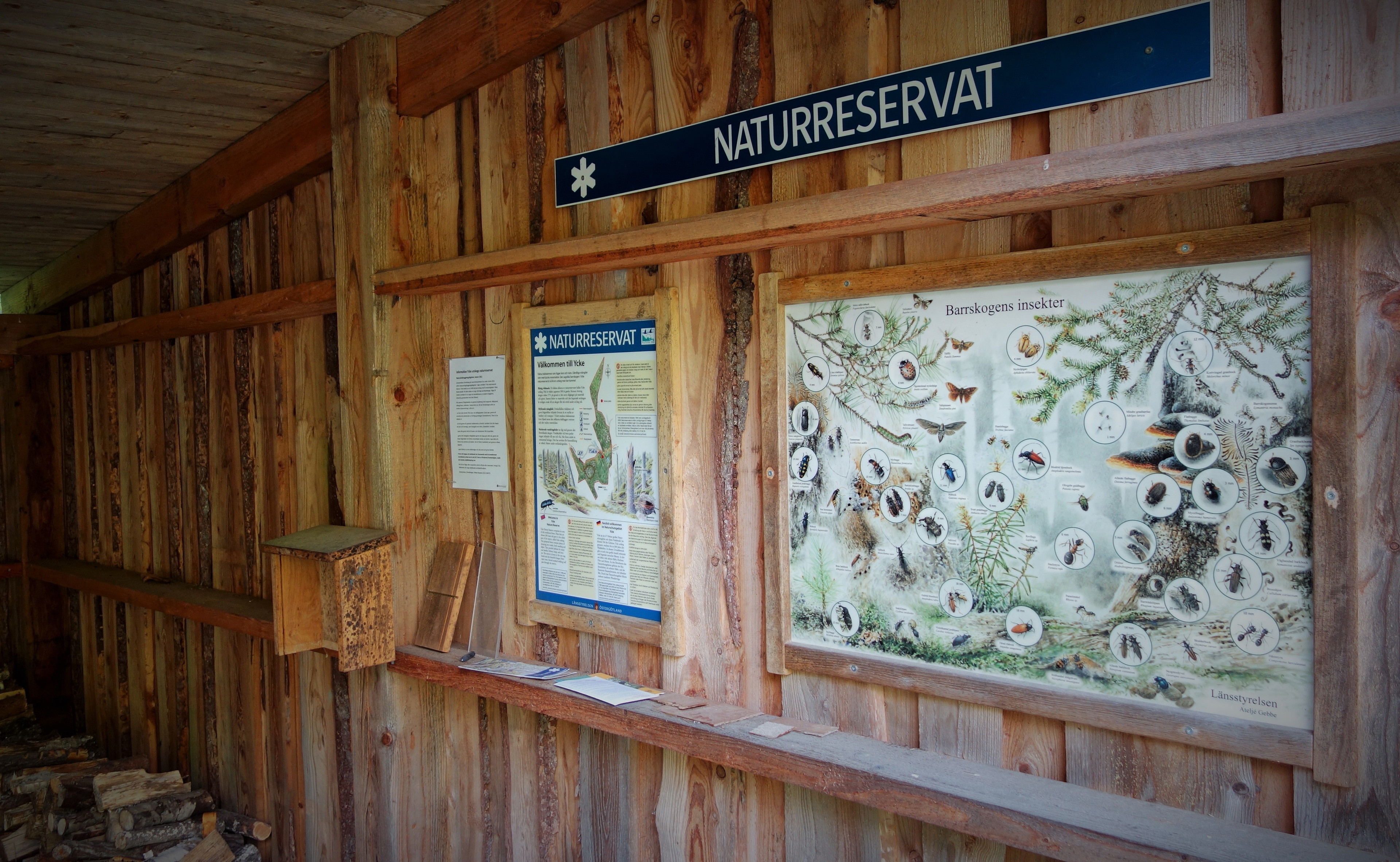Östra entrén till Ycke urskog