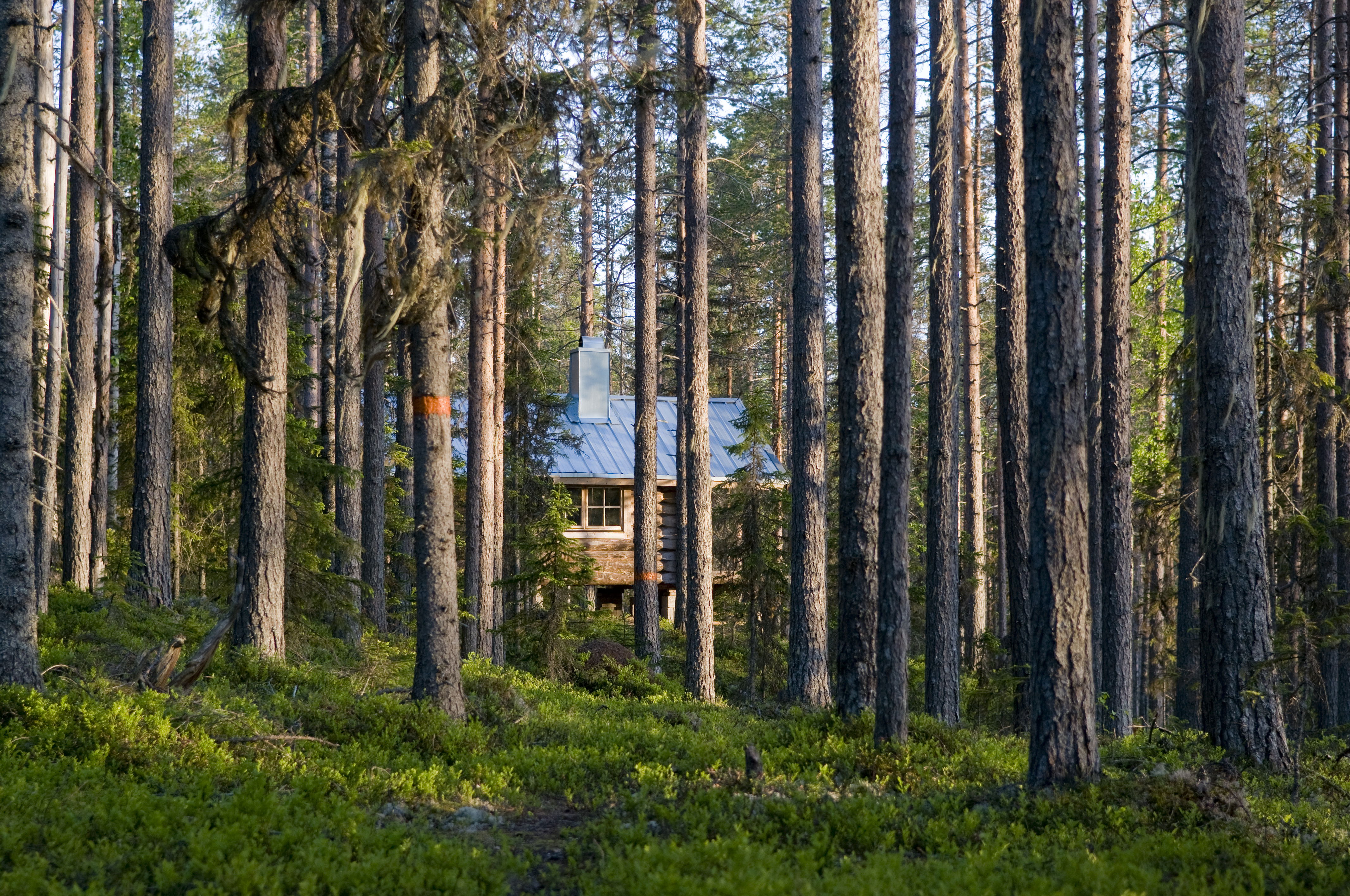 Kvarnbäckskojan.