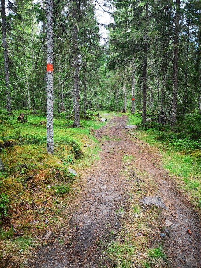 Foto: Åsa Eriksson