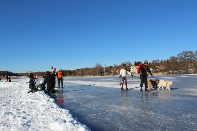 Albysjöns rundisbanor