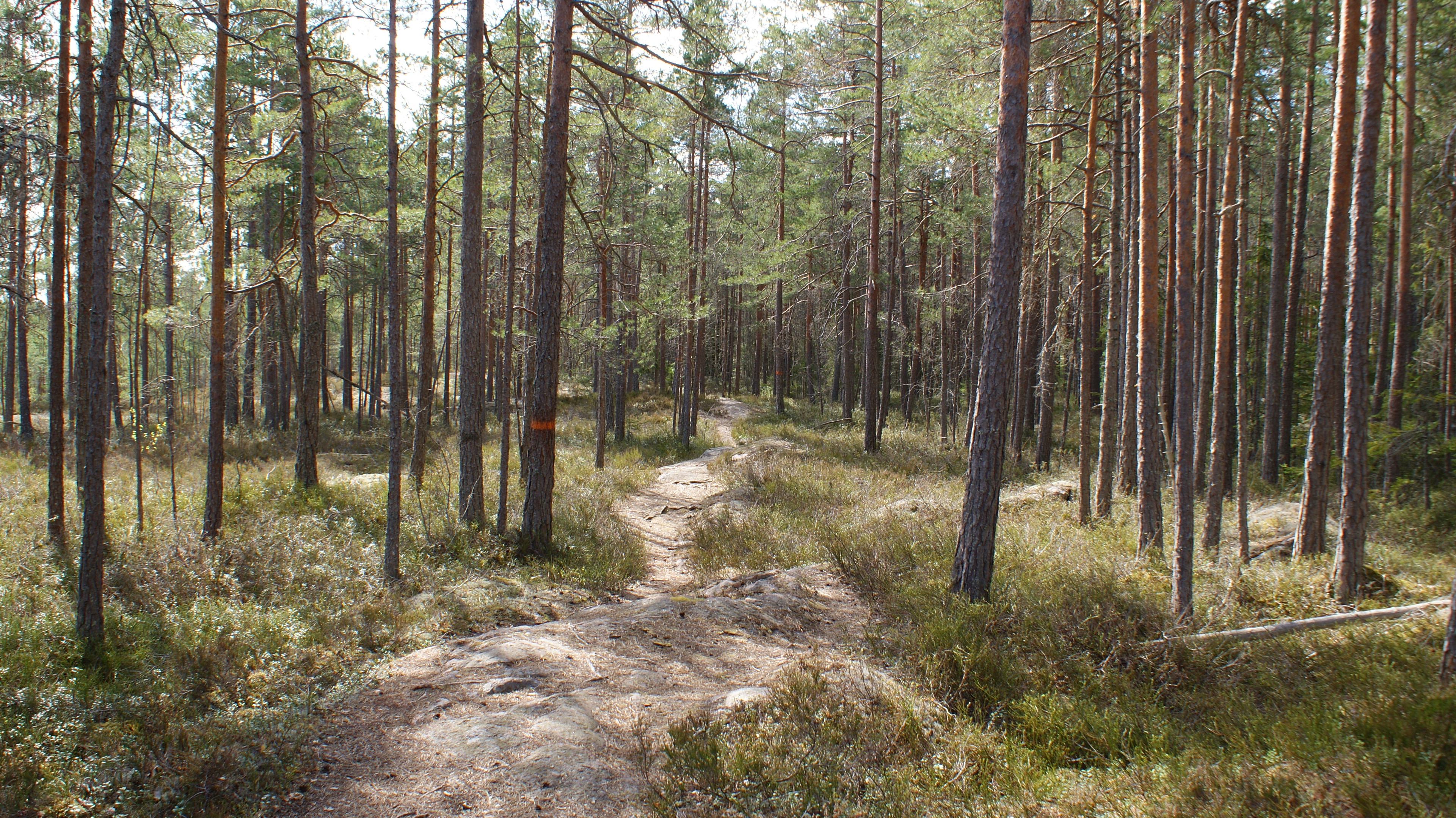Stig i närheten av Södra Landsberget