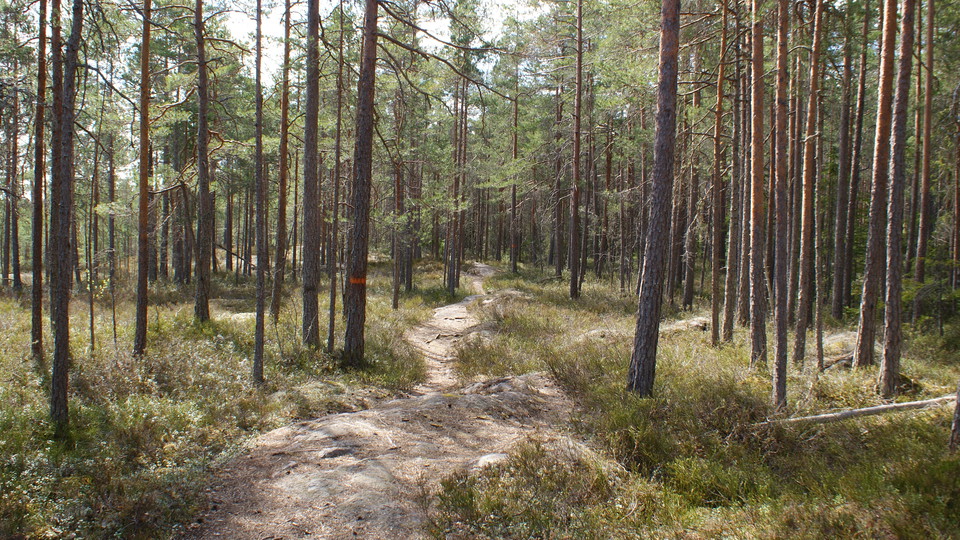 Stig i närheten av Södra Landsberget