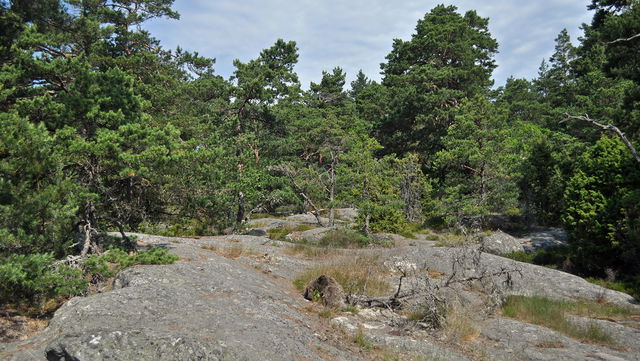 Tältplats, Småängen