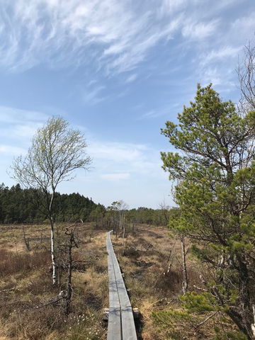 Vandringsled Flymossen (Längd: 1,5 kilometer)