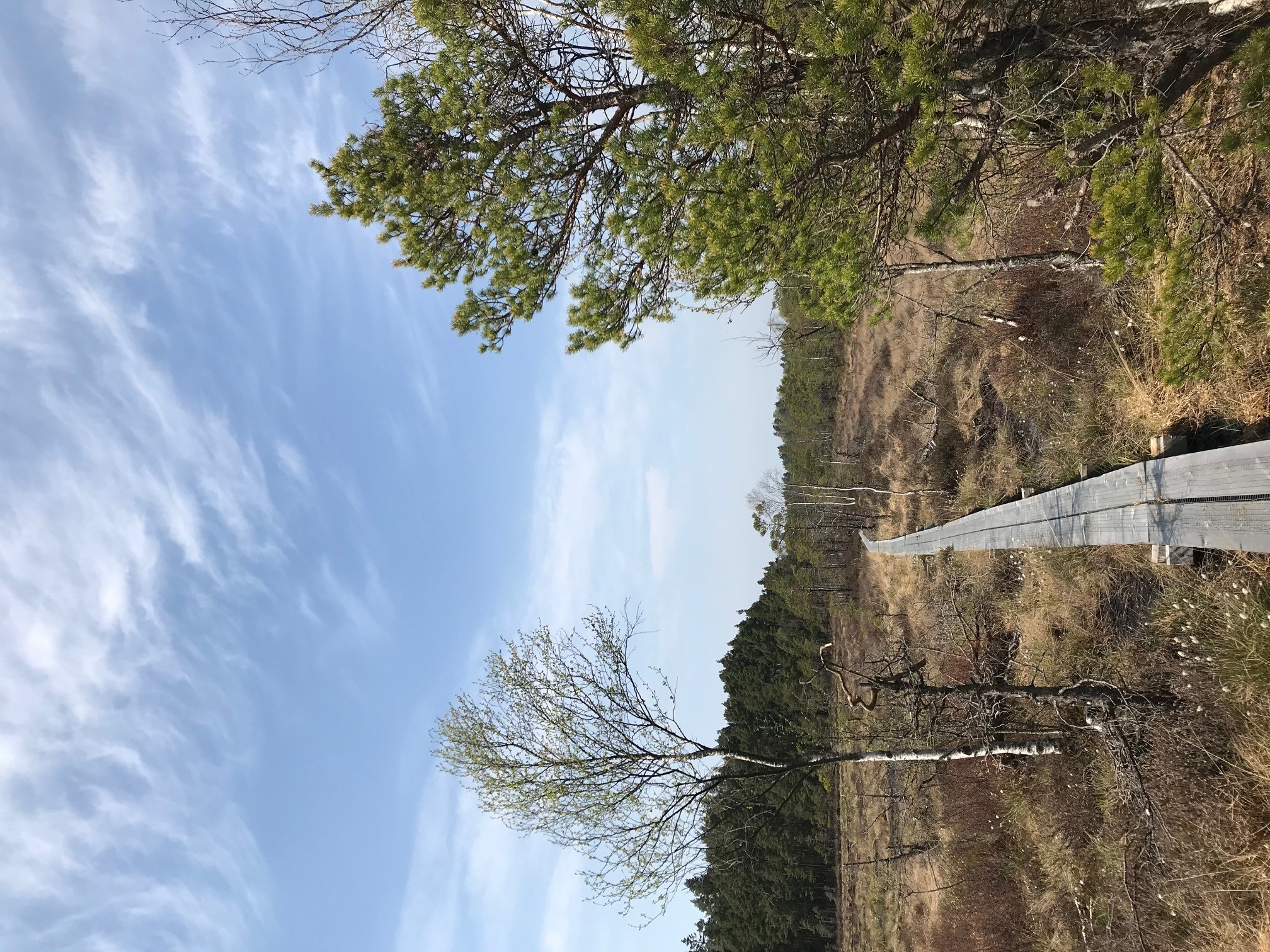 Wanderwegen, Flymossen