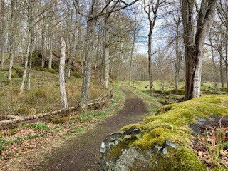 Gul stig  Målaskogsberg (210 meter)