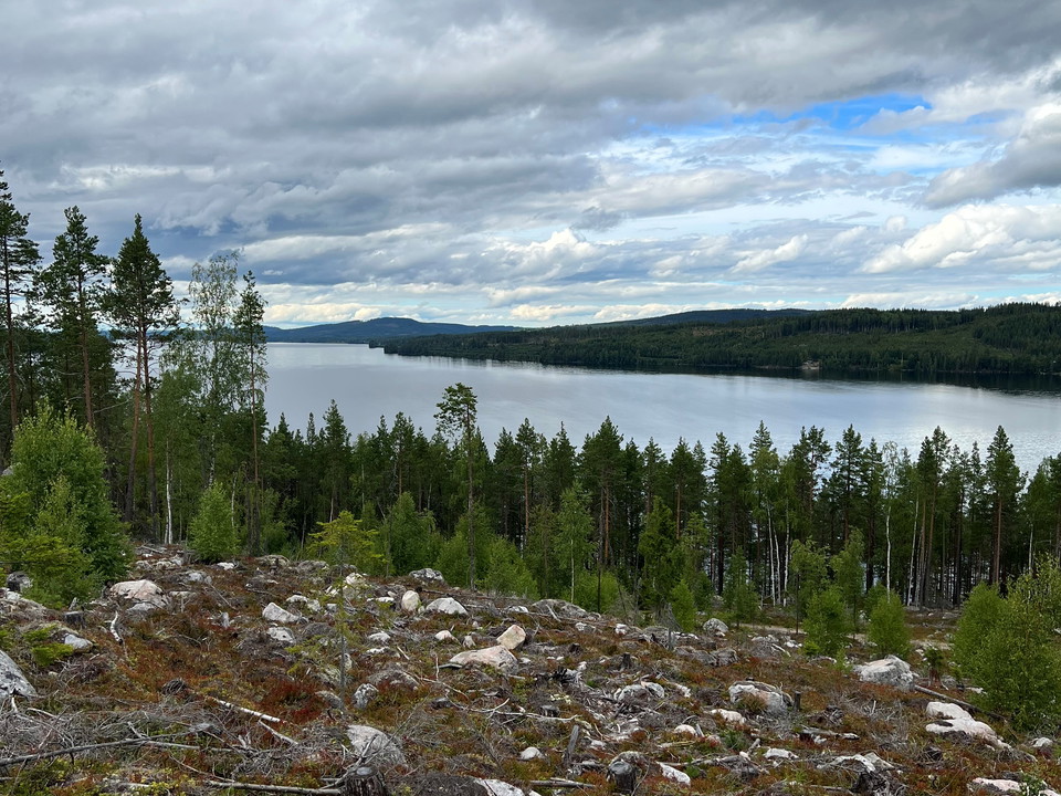 Stråsjöleden går väster om sjön Hennan