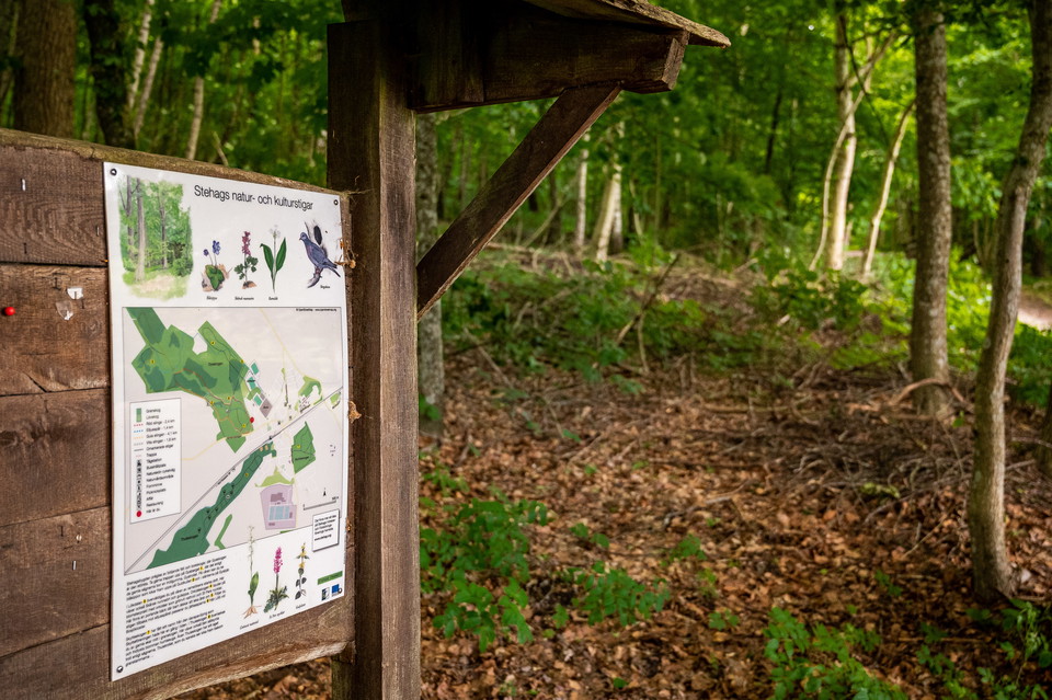 Gyaskogen Stehag