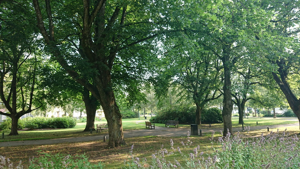 Allé med lindag, grusgång.