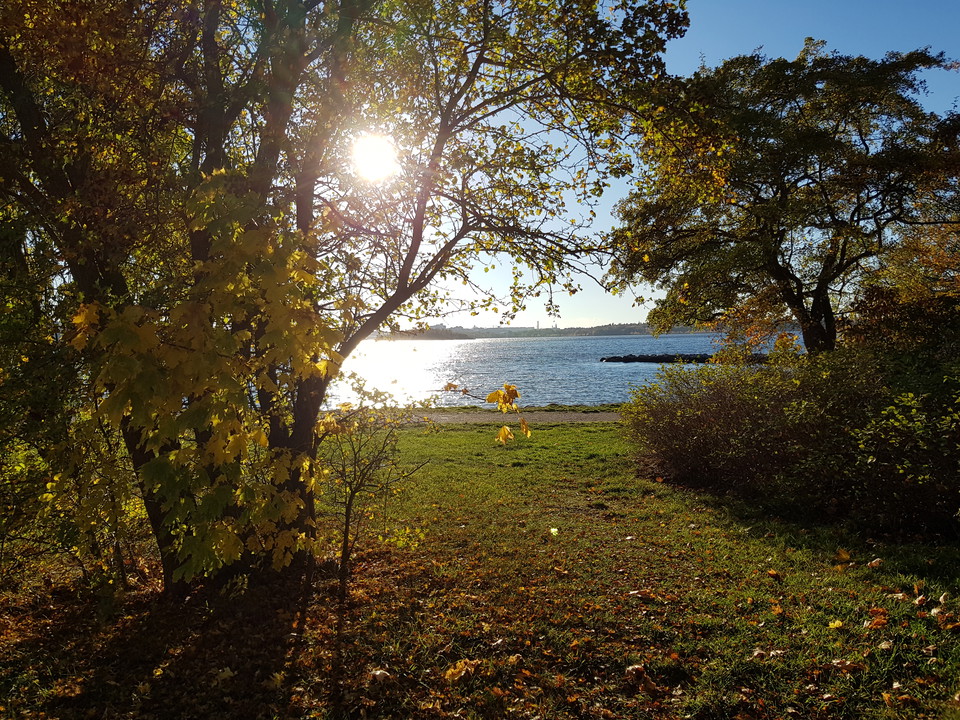 Strand vid Mölna gård. Foto Lidingö stad