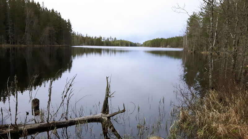 Tarmlångsdalen Valley