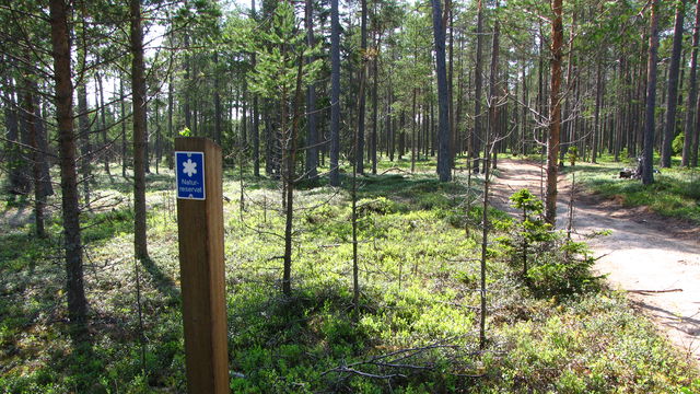 Junkön 
