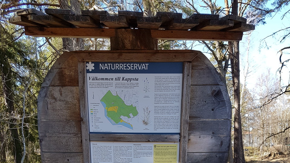 Kappsta naturreservat. Foto Lidingö stad.