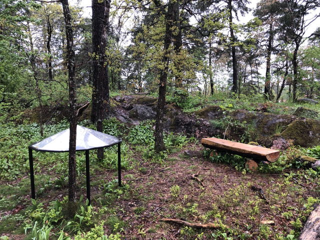 Smultronställe Hasselbacken