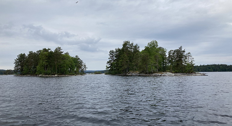 Paddla i Stora Gla. 