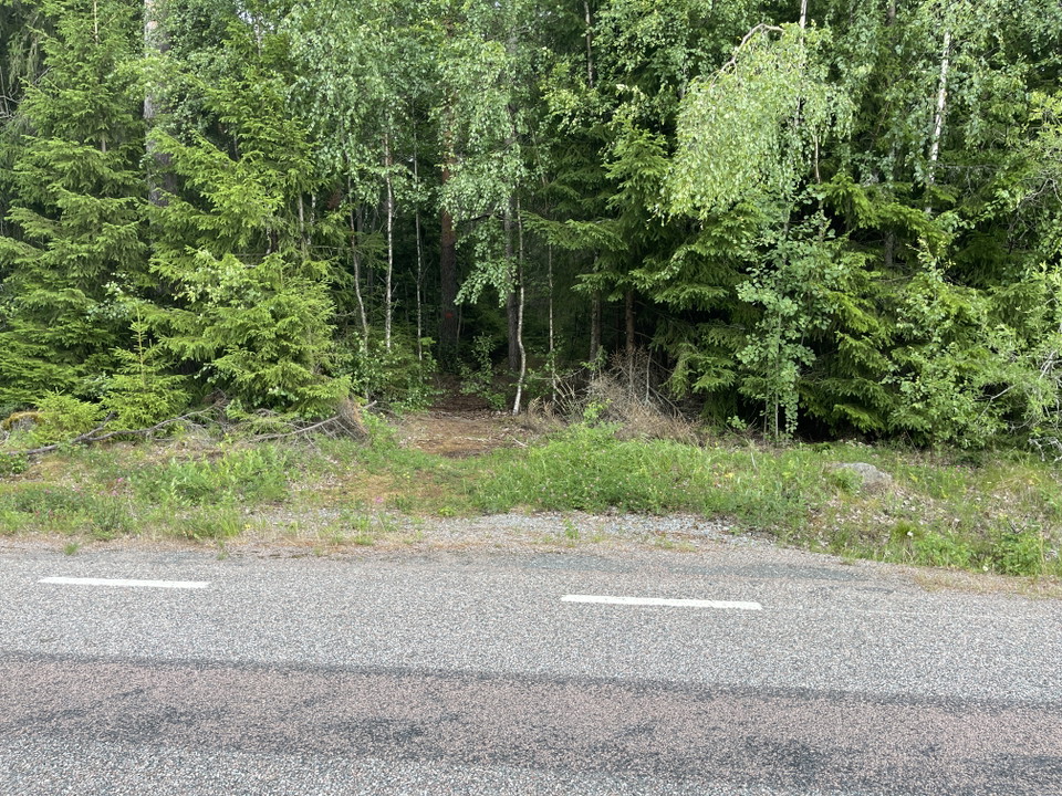 På andra sidan landsvägen börjar en stig in i skogen.