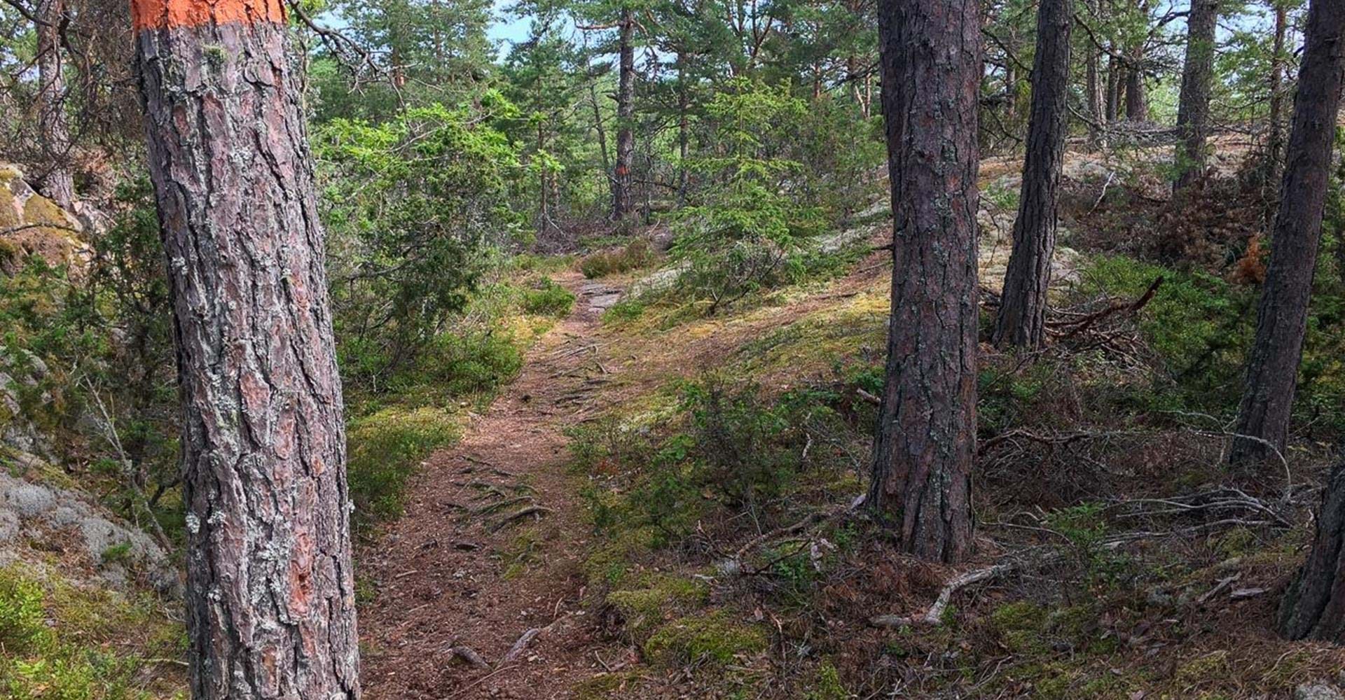 Skogsstig
Gryt rundslinga 
Valdemarsvik
